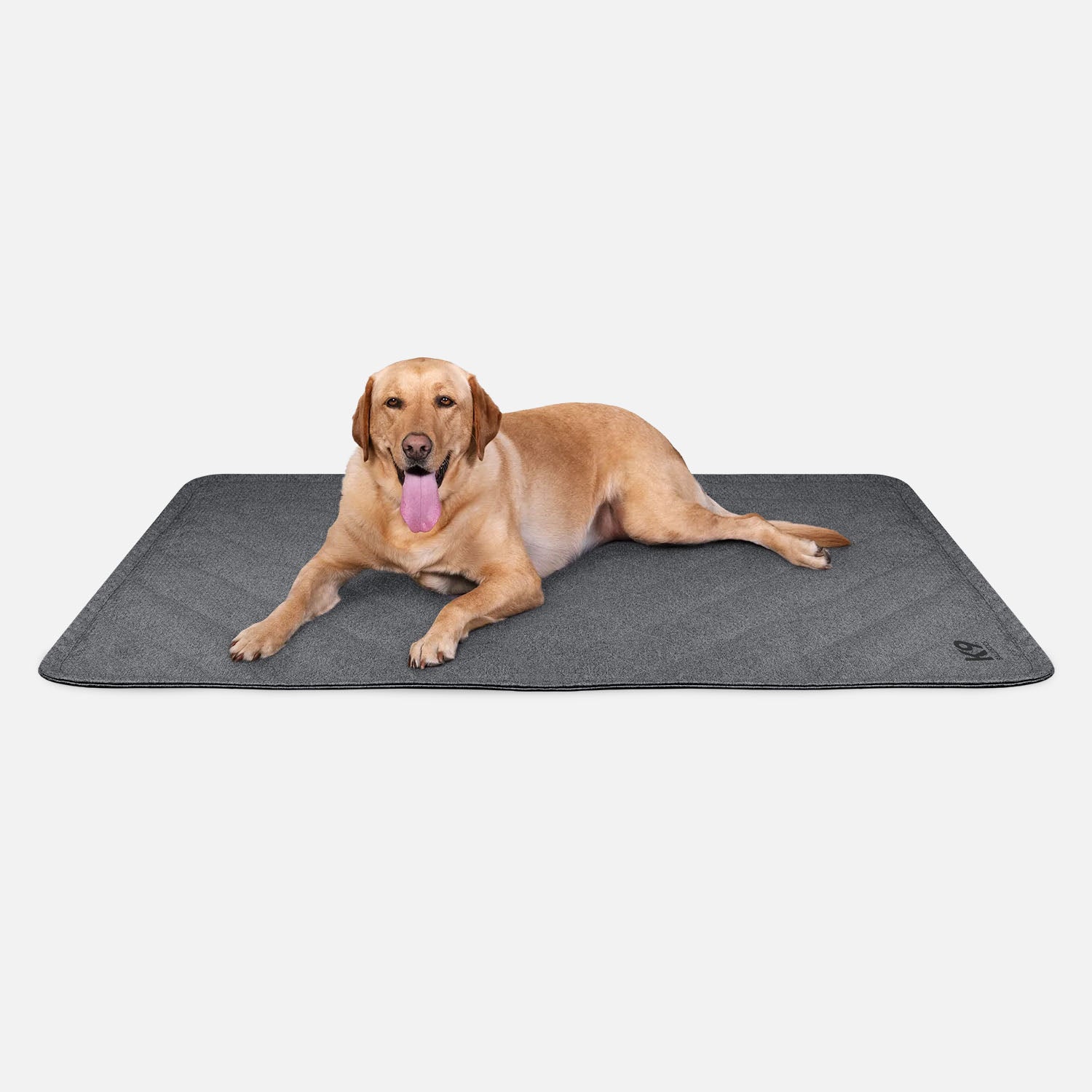 K9 Ballistics Tough Ripstop Crate Cover (Size M — fits 36" wire / Impact Stationary Medium, Obsidian Black) on an Impact Stationary Medium